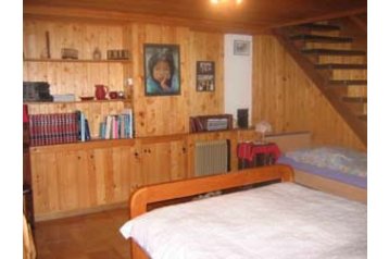 Schweiz Privát Salvan, Exterieur